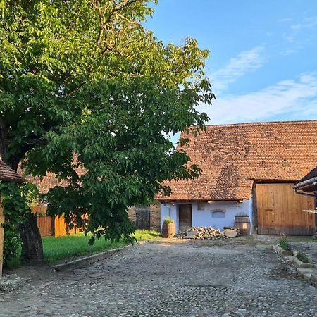 Haus Rether - Transylvanian Guesthouse Bunesti  Exterior photo