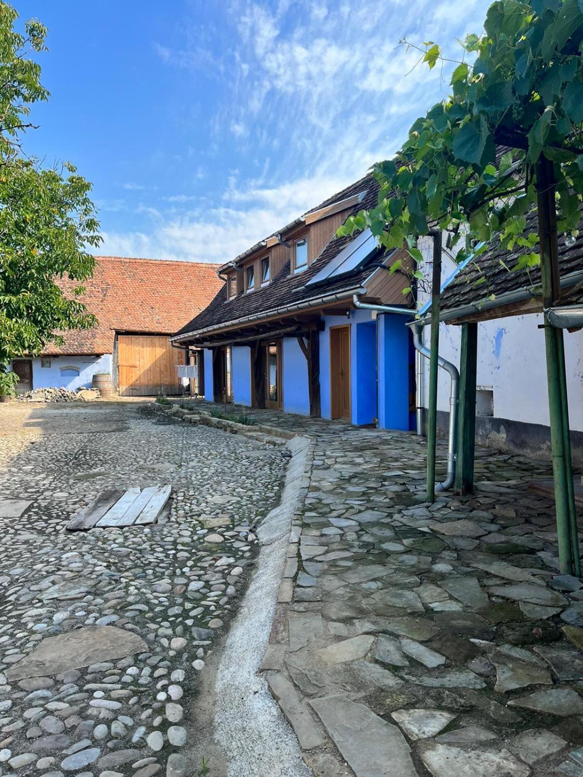 Haus Rether - Transylvanian Guesthouse Bunesti  Exterior photo